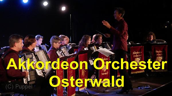 P4580000 Akkordeon Orchester Osterwald.jpg